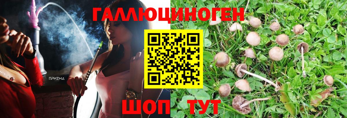 Добрянка  Галлюциногенные грибы ЛСД  Вход с VPN 