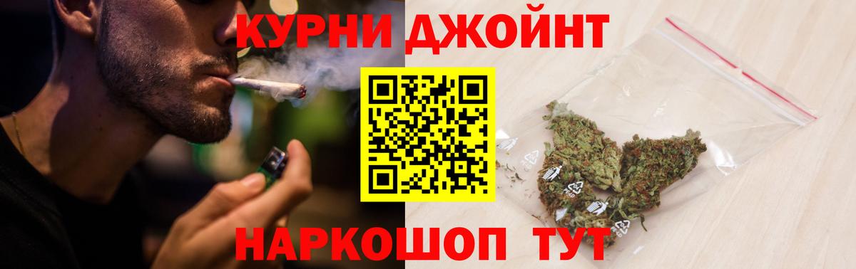 Каннабис OG Kush Добрянка
